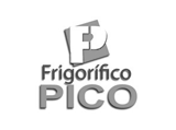 Frigorífico Pico